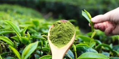 Everything-You-Want-To-Know-About-Matcha-Tea,-Its-Benefits,-Harms,-And-Method-Of-Use-2024